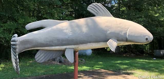 Catfish statue.