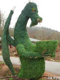 Topiary dragon mailbox.