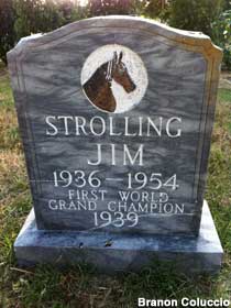 Grave of Strolling Jim.