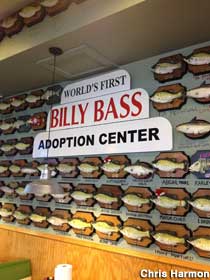 Billy Bass Adoption Center.
