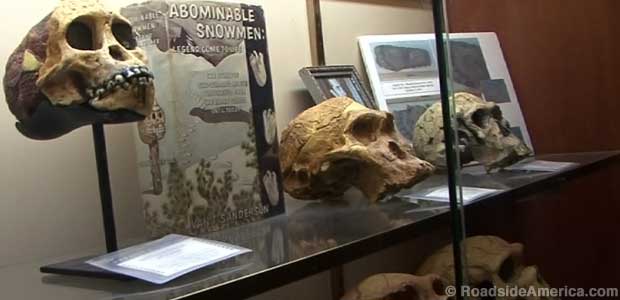 Was the frozen body a missing link between man and ape?