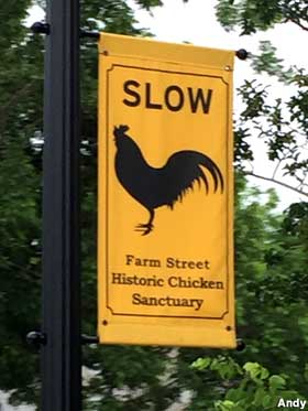 Slow for Chickens sign.
