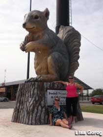 Squirrel statue.