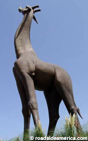 Tallest statue in Texas: a giraffe.  