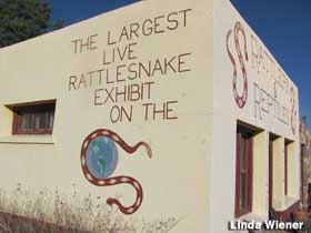 Largest Live Rattlesnake exhibit.