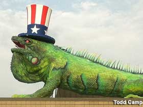 Festive Fourth of July Iguana.