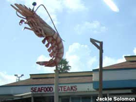 Giant shrimp.