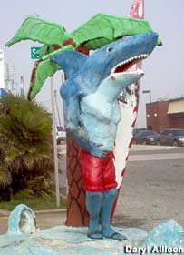Shark-Man statue.