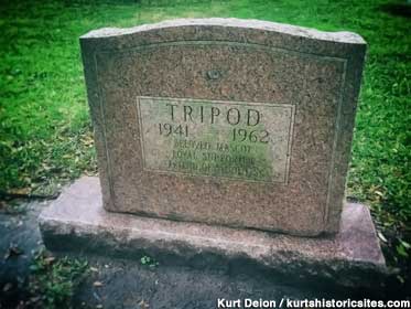 Grave of Tripod the Dog.