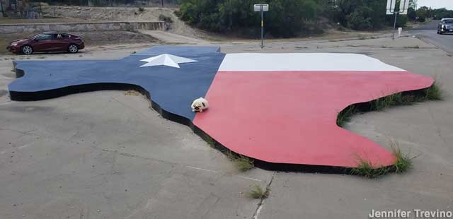 Texas-shaped Texas flag.
