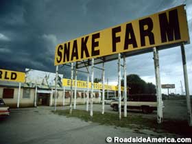 Animal World and Snake Farm Zoo, New Braunfels, Texas