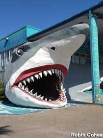 Shark entrance.