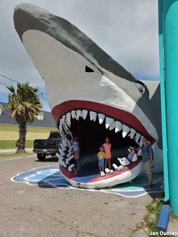 Shark mouth photo op.