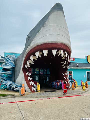 Port Aransas, TX - Giant Shark Head