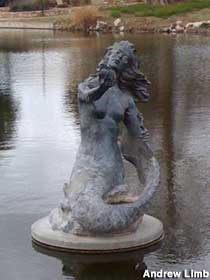 Mermaid in the river.
