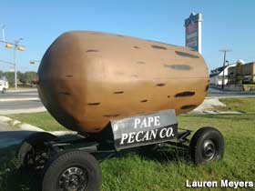 Big pecan on wheels.