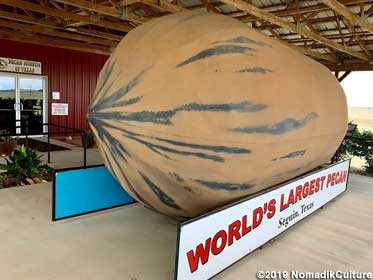 World's Largest Pecan.
