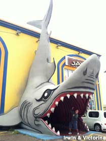 South Padre Island, TX - Walk into Mouth of Giant Shark