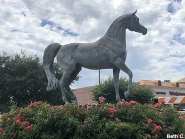 Statue of Arabian show horse Morafic.