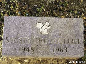 Shorty the Squirrel Grave Marker.