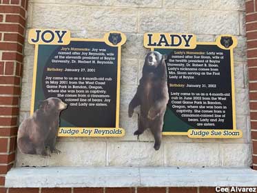 Bear signs.
