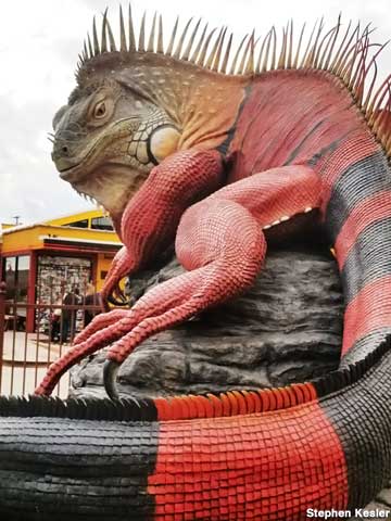 33-Foot-Long Iguana.