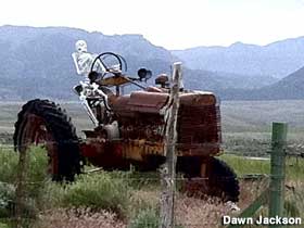 Skeleton on tractor.