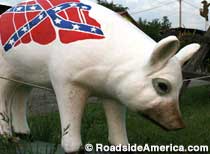 Confederate Battle Pig.