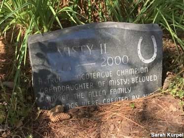 Misty II grave.