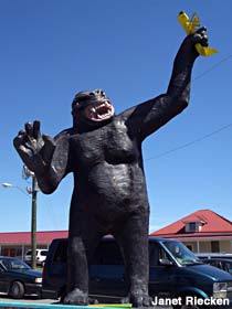 King Kong statue.