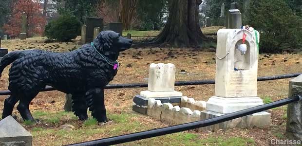 Child's grave and dog.