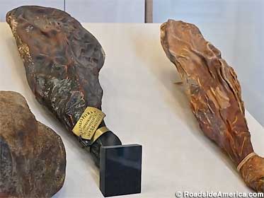 Brass collar identifies the World's Oldest Edible Ham.