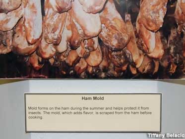 Secrets of Ham Mold.