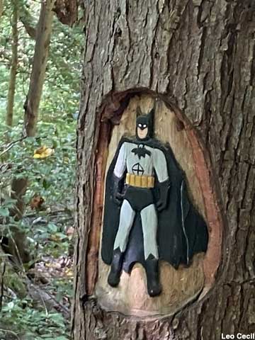 Batman carving.