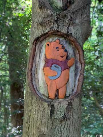 Pooh on the Tom Rhodes Tree Carving Trail.