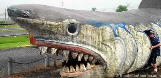 Prehistoric shark at Dinosaur Land, White Post, Virginia.