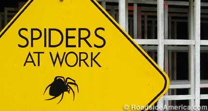 Spiders at Work.