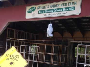 Spider Web Farm.