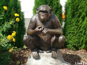 Chimp statue.