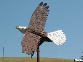 Plate metal eagle sculpture.