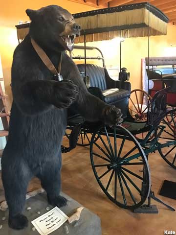 Bear and carriage.