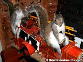Squirrels of the Fire Brigade.