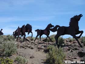 Stampeding wild horse silhouettes.