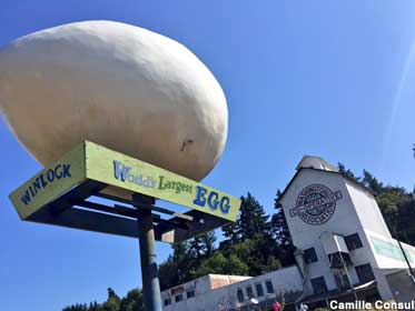 World's Largest Egg.