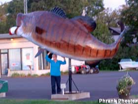 Giant fish.