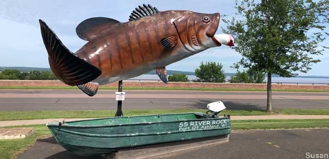 Giant Smallmouth Bass.