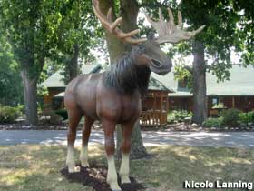 Moose statue.