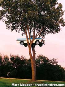 Truck in the Tree.
