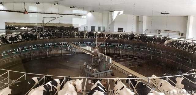Rotary Milking Parlor.