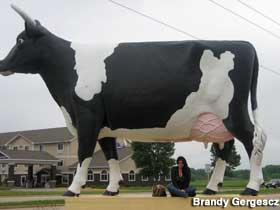 Big cow Sissy.